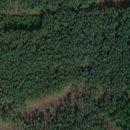 Satellite imagery of Fliederberg, DE