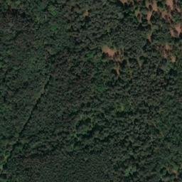 Satellite imagery of Castle Rising Keepers Wood, GB