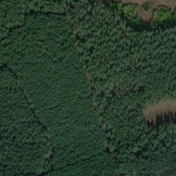 Satellite imagery of Präzeptorberg, DE