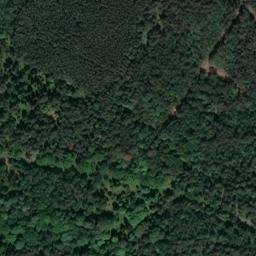 Satellite imagery of Castle Rising Keepers Wood, GB
