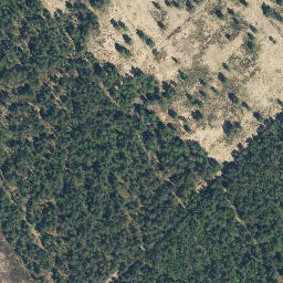Satellite imagery of Buddenberg, DE