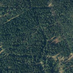 Satellite imagery of Dennhornsberg, DE