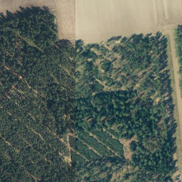 Satellite imagery of Wittinger Berg, DE