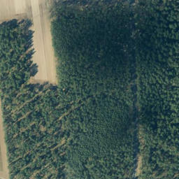 Satellite imagery of Wittinger Berg, DE