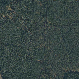 Satellite imagery of Wittinger Berg, DE