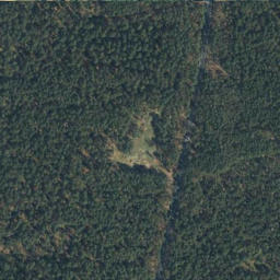 Satellite imagery of Wittinger Berg, DE