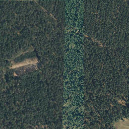 Satellite imagery of Wittinger Berg, DE