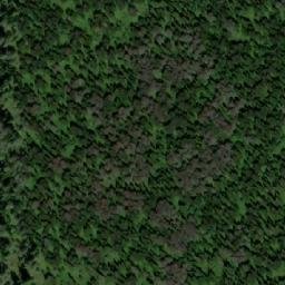 Satellite imagery of Верх. Шорец, RU