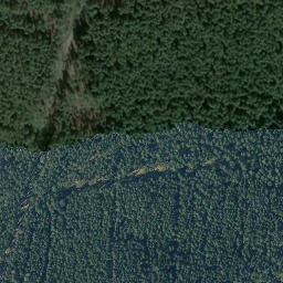 Satellite imagery of Reuterberg, DE