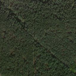 Satellite imagery of Johannisberg, DE