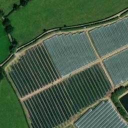 Satellite imagery of Littywood Moat, GB