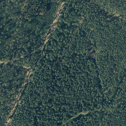 Satellite imagery of Reuterberg, DE