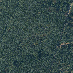 Satellite imagery of Reuterberg, DE
