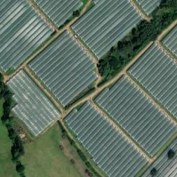 Satellite imagery of Littywood Moat, GB