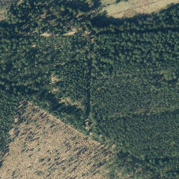 Satellite imagery of Langenberg, DE