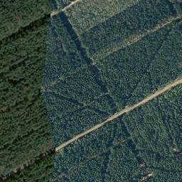 Satellite imagery of Citronenberg, DE