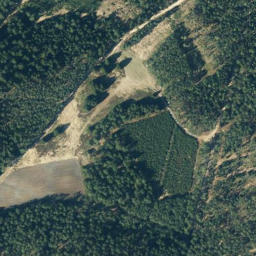 Satellite imagery of Langenberg, DE