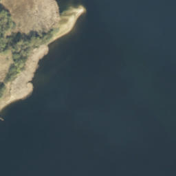 Satelita
