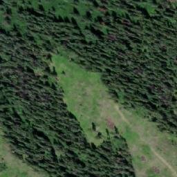 Satellite imagery of Coyote Hill, CA