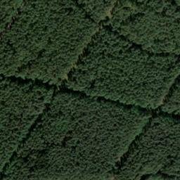 Satellite imagery of Bergen-Belsen concentration camp, DE