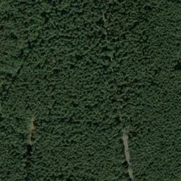 Satellite imagery of Bergen-Belsen concentration camp, DE