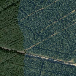 Satellite imagery of Citronenberg, DE