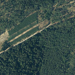 Satellite imagery of Langenberg, DE