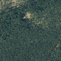 Satellite imagery of Langenberg, DE