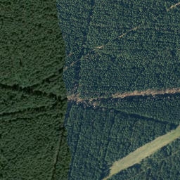 Satellite imagery of Citronenberg, DE