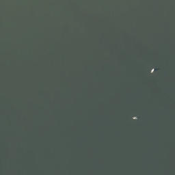 Satellite imagery of Geldersche Hoek, NL