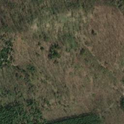 Satellite imagery of Fernmeldeturm Rhinow, DE