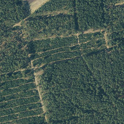 Satellite imagery of Schnebersberg, DE