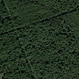 Satellite imagery of Riesenberg, DE