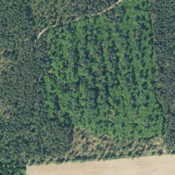 Satellite imagery of Prachelberg, DE
