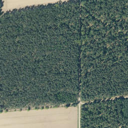Satellite imagery of Prachelberg, DE