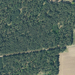 Satellite imagery of Prachelberg, DE