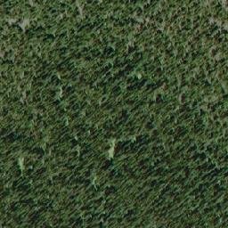 Satellite imagery of Browntop Mountain, CA