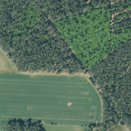 Satellite imagery of Prachelberg, DE