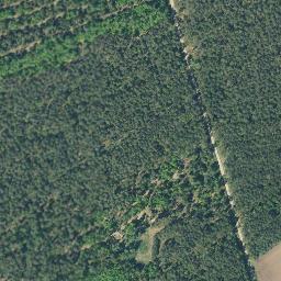 Satellite imagery of Prachelberg, DE