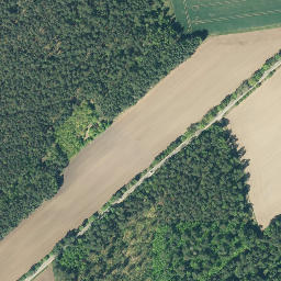 Satellite imagery of Prachelberg, DE