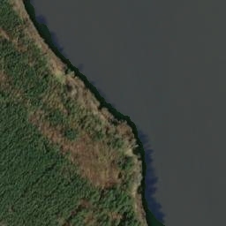 Satelita