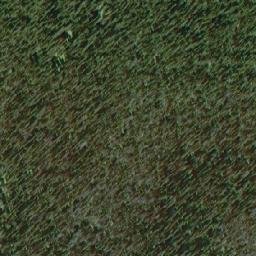 Satellite imagery of Browntop Mountain, CA