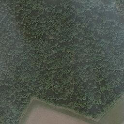 Satellite imagery of Horsford Castle Hill, GB
