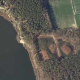 Satelita