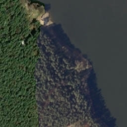 Satelita