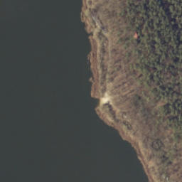 Satelita