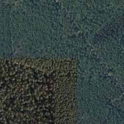 Satellite imagery of Siemsberg, DE