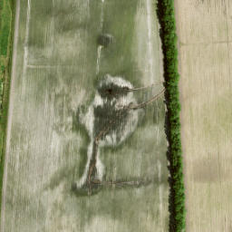 Satellite imagery of 160 V, NL
