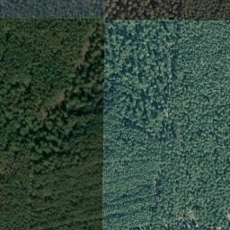 Satellite imagery of Siemsberg, DE