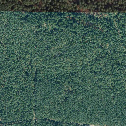 Satellite imagery of Siemsberg, DE